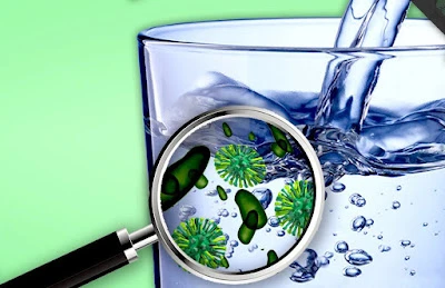 Bacteria detection